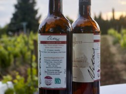 Festival Mar de Tethys 2026 - Bodega Vetas